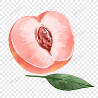 绿巨人视频下载APP应用
